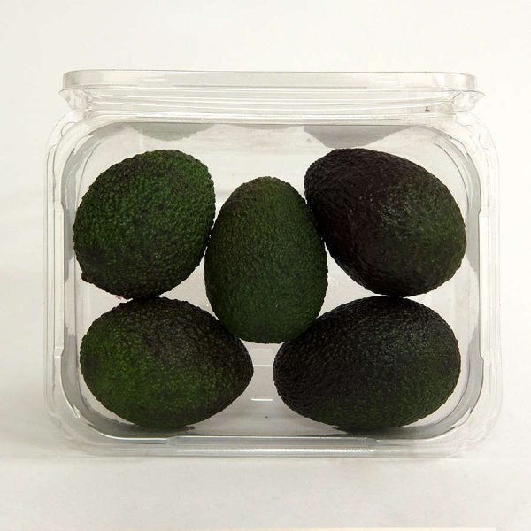 avocado hass pack