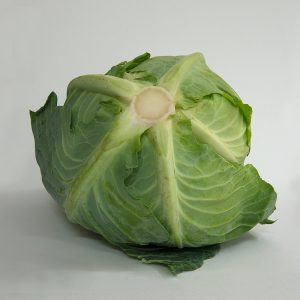 cabbage plain