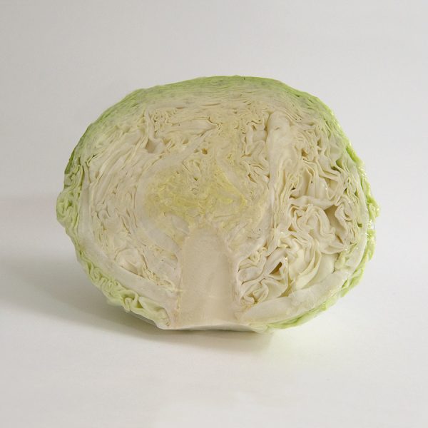 cabbage plain half