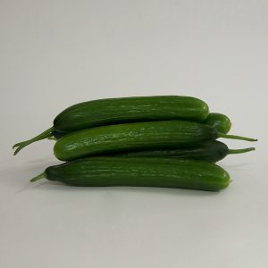 cucumber lebanese
