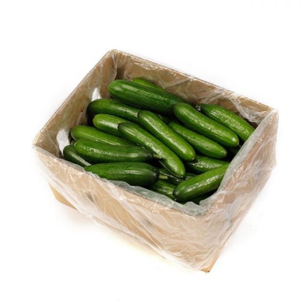 cucumber lebanese premium