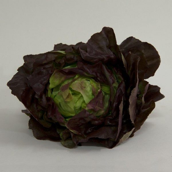 lettuce fancy mignonette