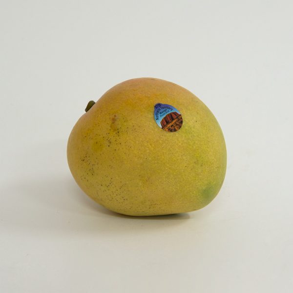 mangoes kensington pride