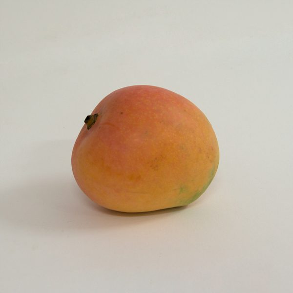 mangoes r2e2