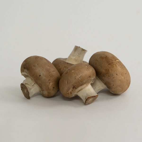 mushroom swiss brown