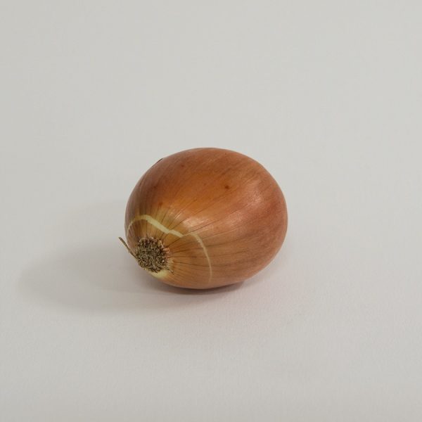 onions brown