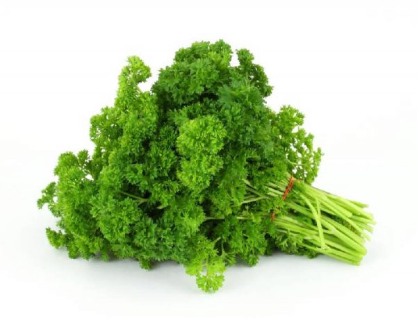 parsley curly