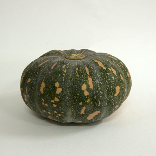 pumpkin jap
