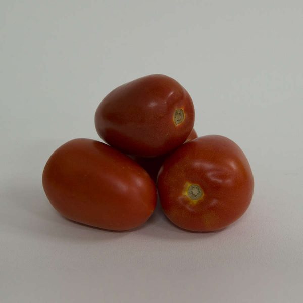 tomatoes roma