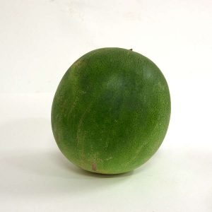 watermelon seedless