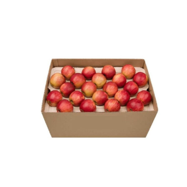 apple royal gala 18 kg